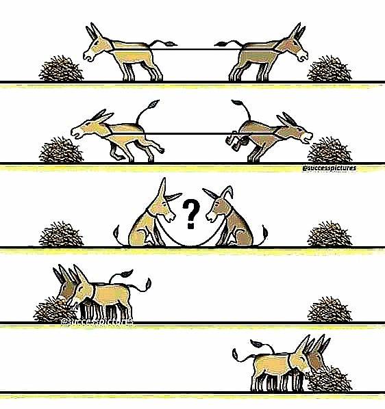This meme is a humorous illustration that shows a series of escalating situations between two donkeys, with each scenario getting increasingly absurd. The text that appears in the image is likely "I'm not arguing, I'm just explaining why I'm right" or something similar, but the actual text is not specified. The meme pokes fun at the idea of someone being overly defensive and argumentative, and the donkeys' reactions are exaggerated and humorous.